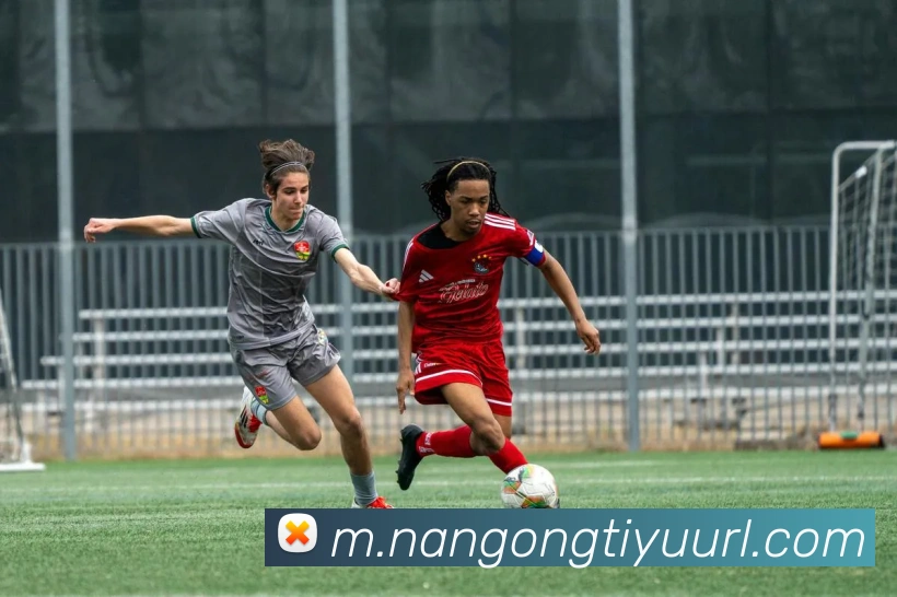 南宫体育发展历程